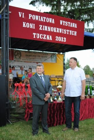 Wystawa koni