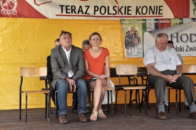 Wystawa koni