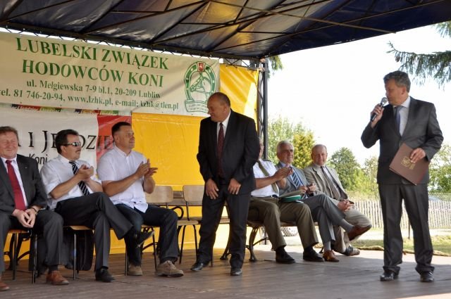 Wystawa koni