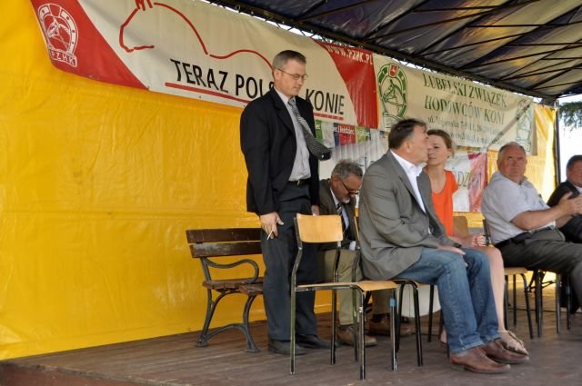 Wystawa koni