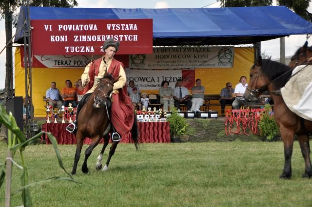Wystawa koni