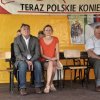Wystawa koni