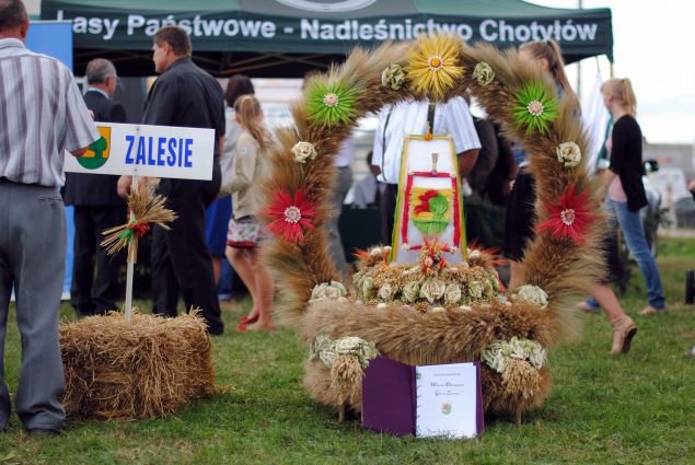 Dożynki 2013