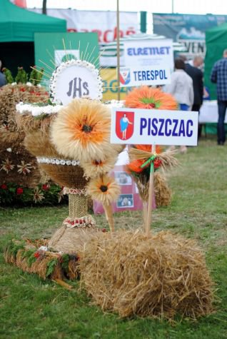 Dożynki 2013