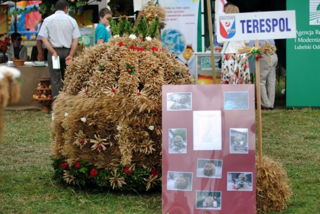 Dożynki 2013