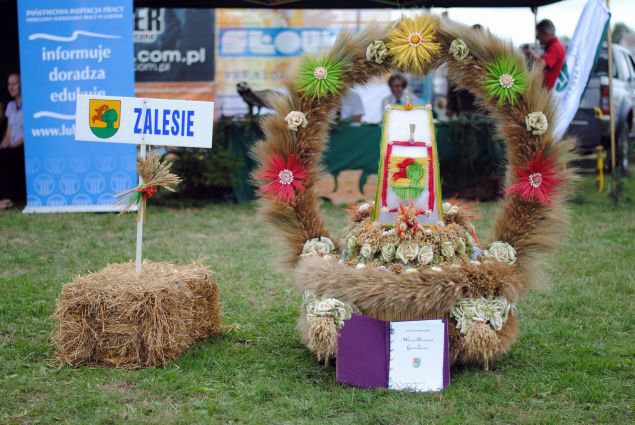 Dożynki 2013