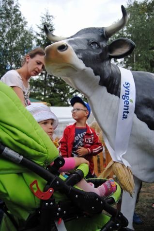 Dożynki 2013