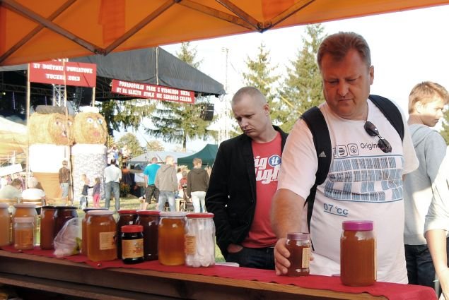 Dożynki 2013