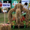 Dożynki 2013