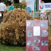 Dożynki 2013