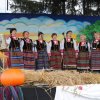 Dożynki 2013