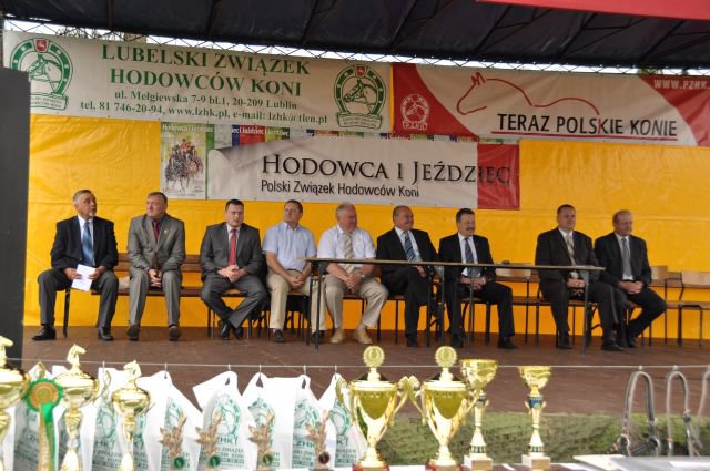 Pokaz koni