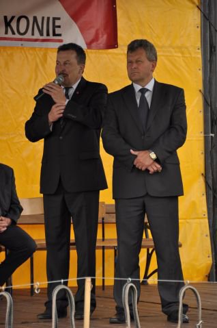 Pokaz koni