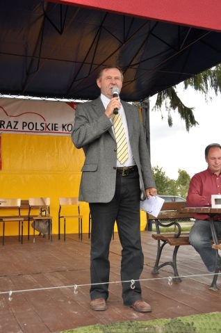 Pokaz koni