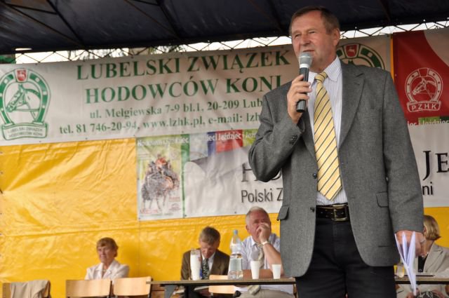 Pokaz koni