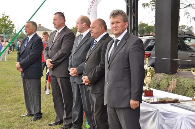 Pokaz koni