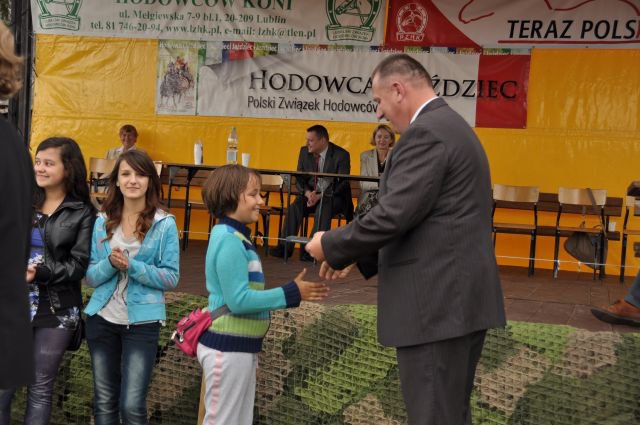 Pokaz koni