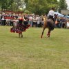 Pokaz koni
