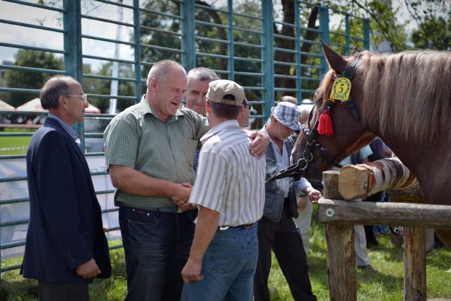 Powiatowa Wystawa Koni 2014