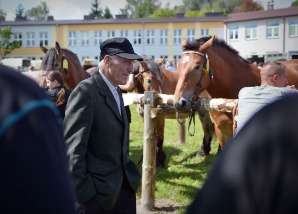 Powiatowa Wystawa Koni 2014