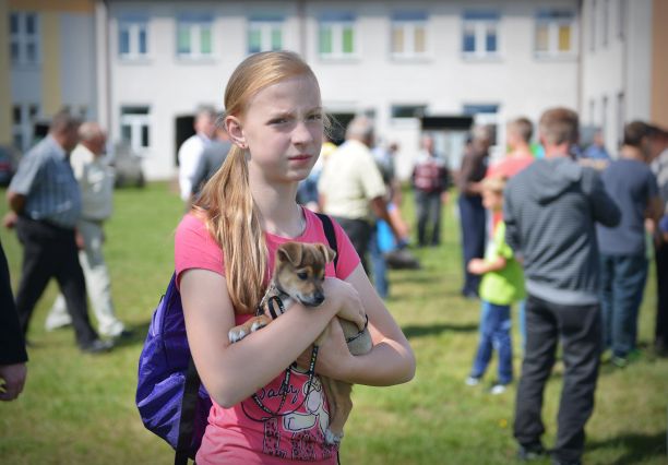 Powiatowa Wystawa Koni 2014