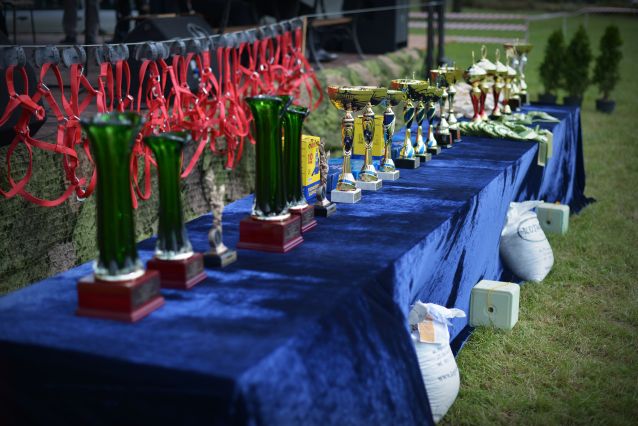 Powiatowa Wystawa Koni 2014