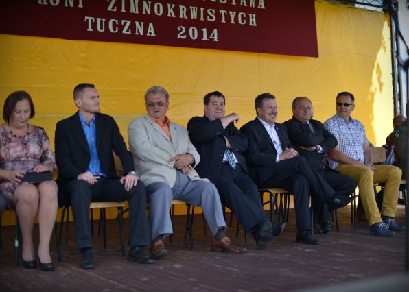 Powiatowa Wystawa Koni 2014