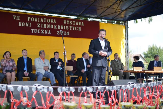 Powiatowa Wystawa Koni 2014