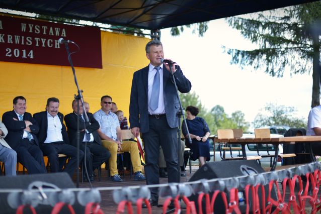 Powiatowa Wystawa Koni 2014