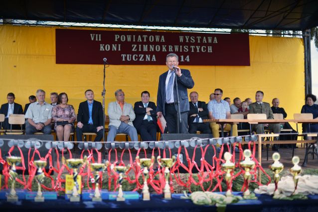 Powiatowa Wystawa Koni 2014