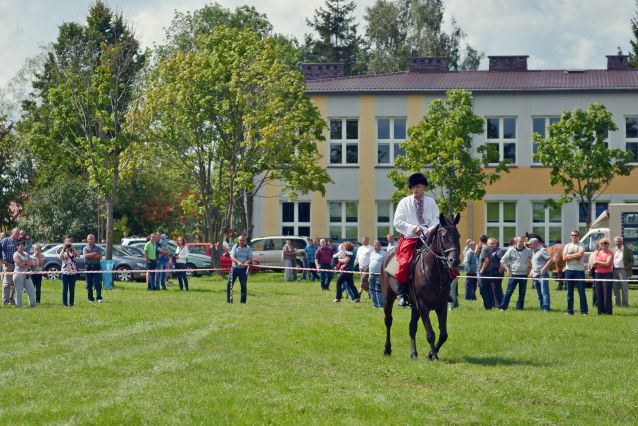 Powiatowa Wystawa Koni 2014