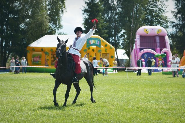 Powiatowa Wystawa Koni 2014