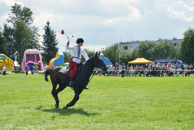 Powiatowa Wystawa Koni 2014