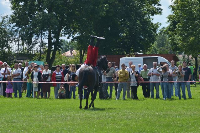Powiatowa Wystawa Koni 2014