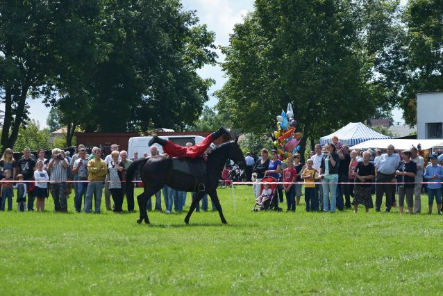 Powiatowa Wystawa Koni 2014