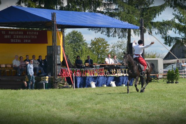 Powiatowa Wystawa Koni 2014