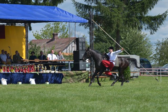 Powiatowa Wystawa Koni 2014