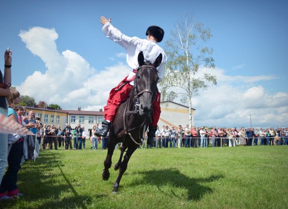 Powiatowa Wystawa Koni 2014