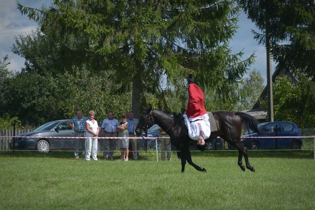 Powiatowa Wystawa Koni 2014