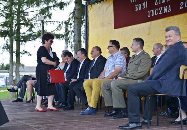 Powiatowa Wystawa Koni 2014