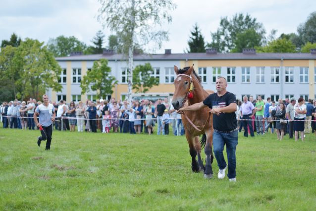 Powiatowa Wystawa Koni 2014