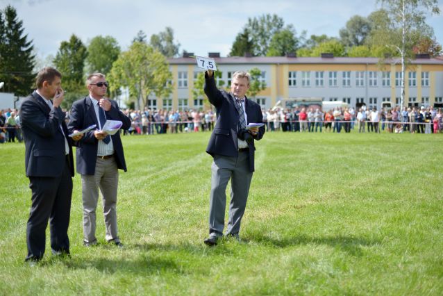 Powiatowa Wystawa Koni 2014