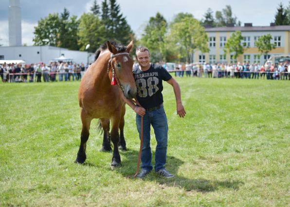 Powiatowa Wystawa Koni 2014