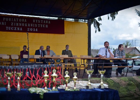 Powiatowa Wystawa Koni 2014