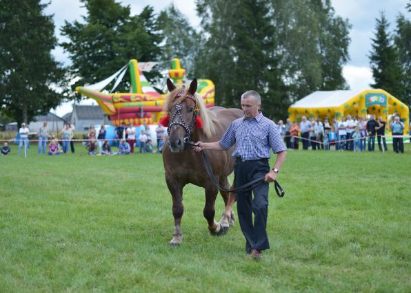 Powiatowa Wystawa Koni 2014