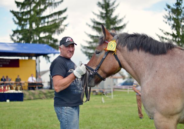 Powiatowa Wystawa Koni 2014