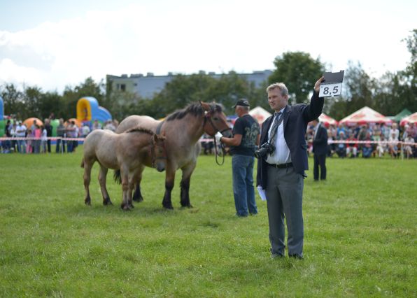 Powiatowa Wystawa Koni 2014