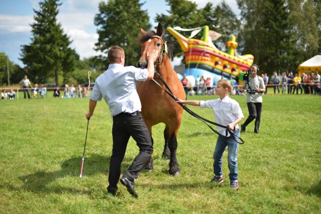 Powiatowa Wystawa Koni 2014