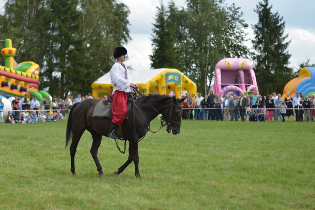 Powiatowa Wystawa Koni 2014