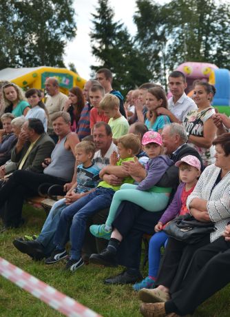 Powiatowa Wystawa Koni 2014